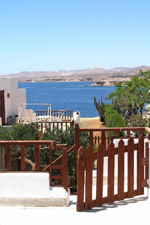 Abouseif Guest House Σαρμ Ελ Σέιχ Εξωτερικό φωτογραφία