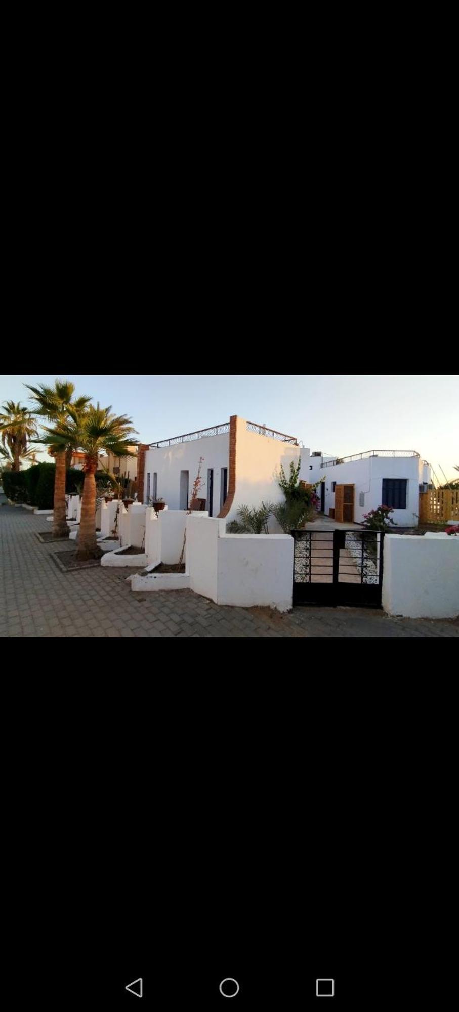 Abouseif Guest House Σαρμ Ελ Σέιχ Δωμάτιο φωτογραφία